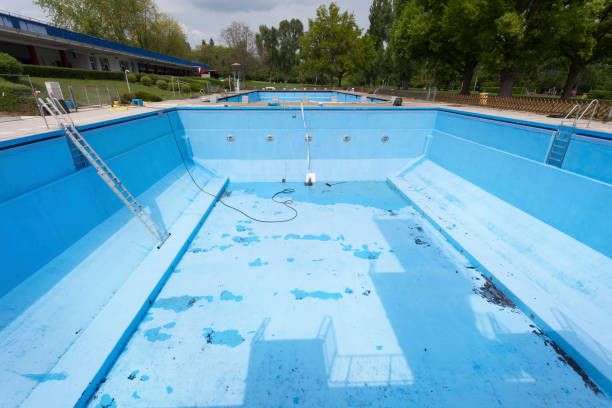 Best Mold removal after water damage  in Six Shooter Canyon, AZ
