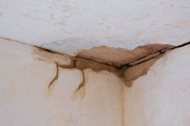 Best Water damage contractors near me  in Six Shooter Canyon, AZ