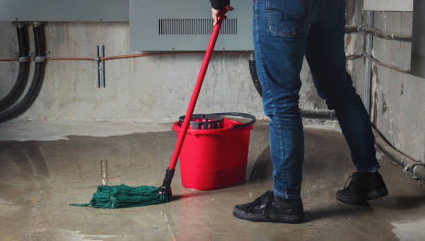 Best Residential water damage restoration  in Six Shooter Canyon, AZ