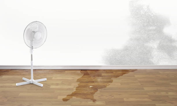 Best Commercial water damage restoration  in Six Shooter Canyon, AZ