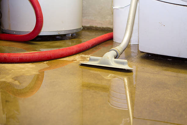 Best Carpet water damage restoration  in Six Shooter Canyon, AZ