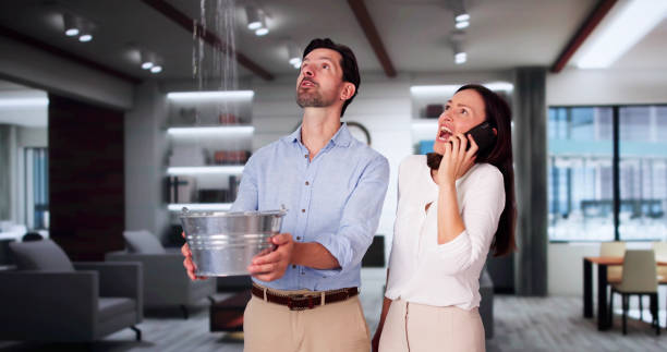 Best Water damage restoration near me  in Six Shooter Canyon, AZ