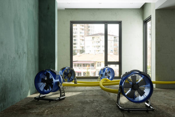Best Water damage cleanup near me  in Six Shooter Canyon, AZ